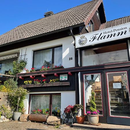 Hotel-Pension Flamm Braunlage Exterior foto